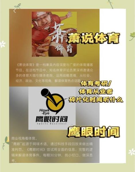 互联网如何改变体育_体育直播对观众的影响