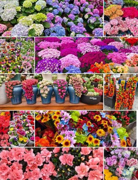 鲜花店如何选品_鲜花行业市场分析