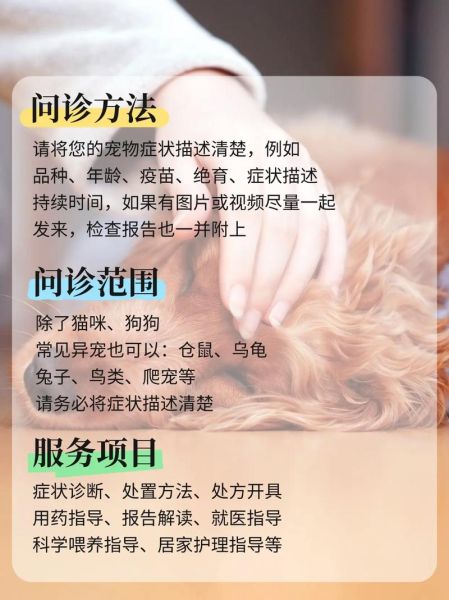 宠物看病哪个平台靠谱_线上宠物问诊多少钱