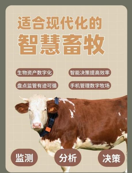 畜牧业互联网应用有哪些_如何落地智慧牧场