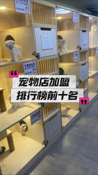 宠物店怎么选址_宠物美容店加盟多少钱