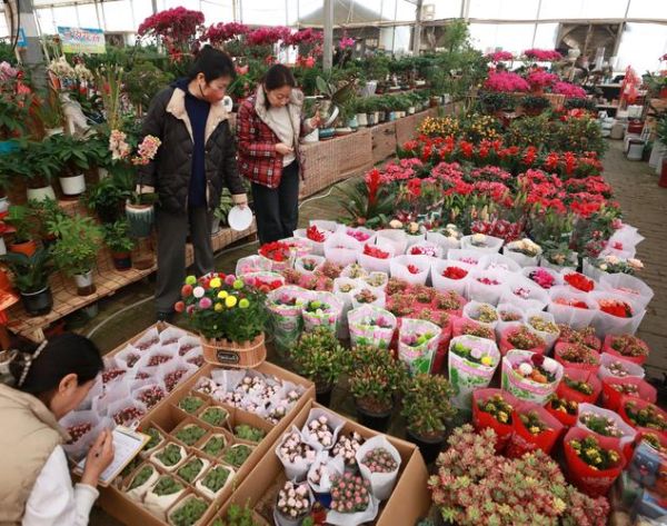 花卉行业前景怎么样_2024年开花店还能赚钱吗