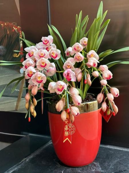 花卉行业前景怎么样_2024年开花店还能赚钱吗