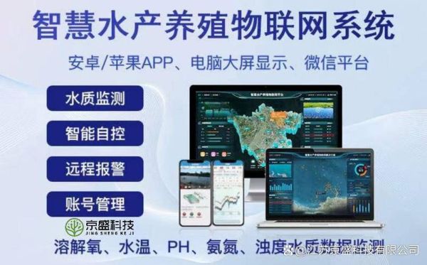 互联网加渔业是什么_如何落地实施