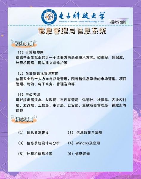 信息管理行业前景怎么样_信息管理专业就业方向