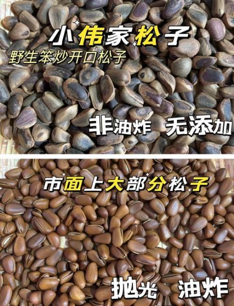 松子市场前景怎么样_松子行业赚钱吗