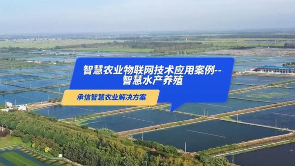 投资互联网养殖靠谱吗_互联网养殖收益怎么样