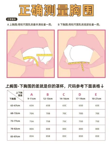 内衣品牌怎么选_内衣尺码怎么量