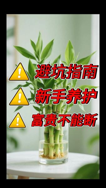 互联网投资养殖靠谱吗_新手如何避坑