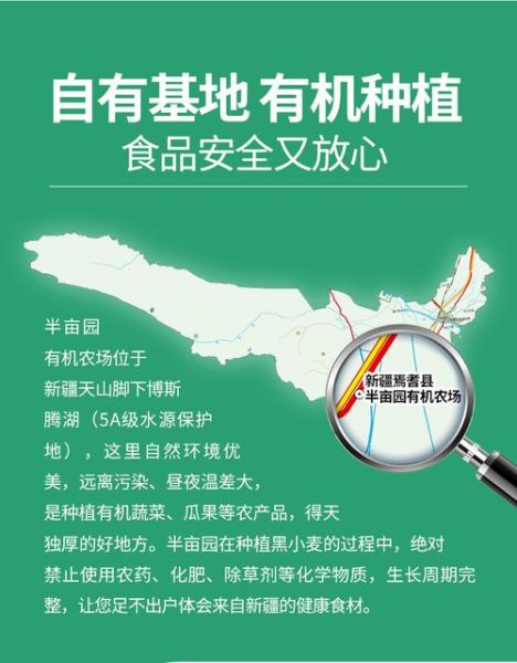 有机小麦种植前景怎么样_有机小麦市场前景分析