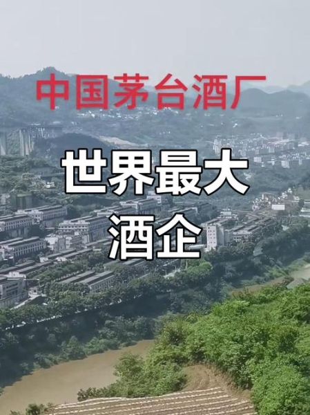 酒厂前景怎么样_酒厂投资赚钱吗