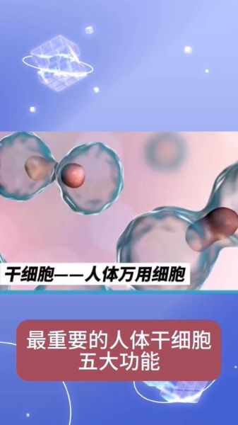 干细胞治疗靠谱吗_未来能治愈哪些疾病