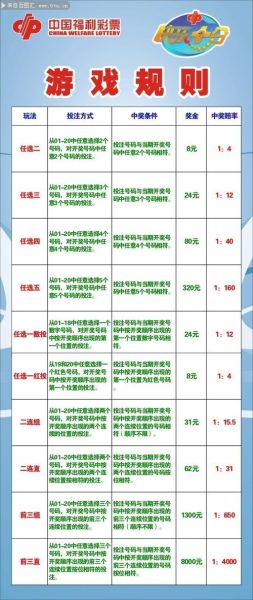 互联网彩票合法吗_彩票平台怎么选