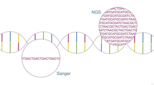 分子诊断前景如何_分子诊断技术有哪些