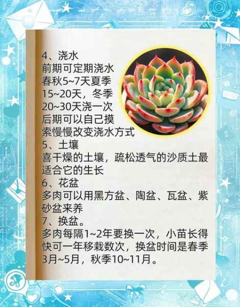 多肉植物市场前景怎么样_新手还能入局吗