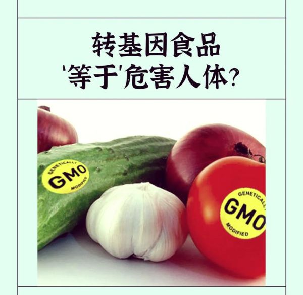 转基因食品前景如何_转基因食品安全吗
