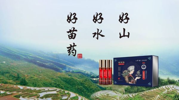 民族药前景怎么样_民族药投资潜力大吗