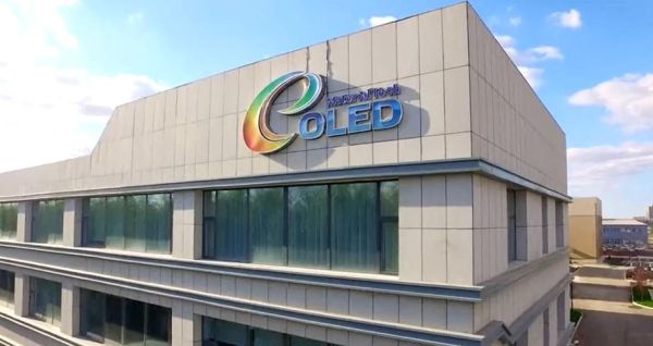 奥来德前景怎么样_奥来德值得投资吗