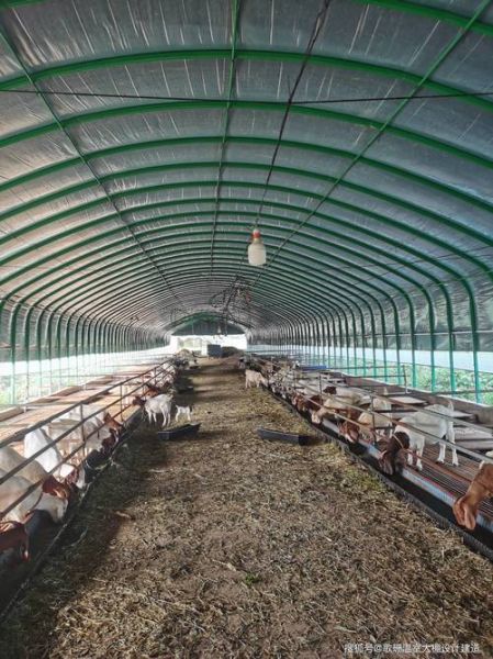 养殖业前景怎么样_养殖业有哪些新机会