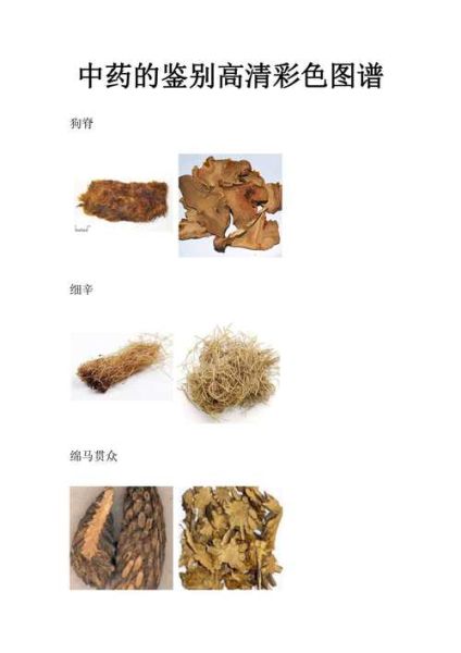 中药饮片保质期多久_如何辨别是否变质