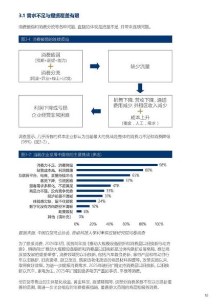 2013年零售行业现状_未来零售发展趋势