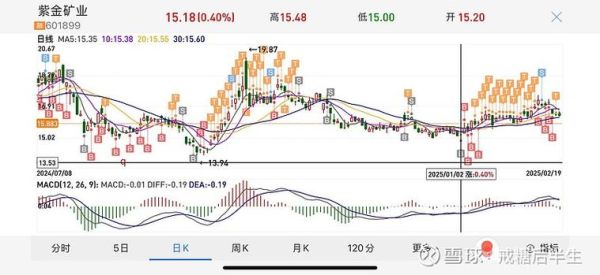 紫金矿业未来五年股价走势_紫金矿业值得长期持有吗