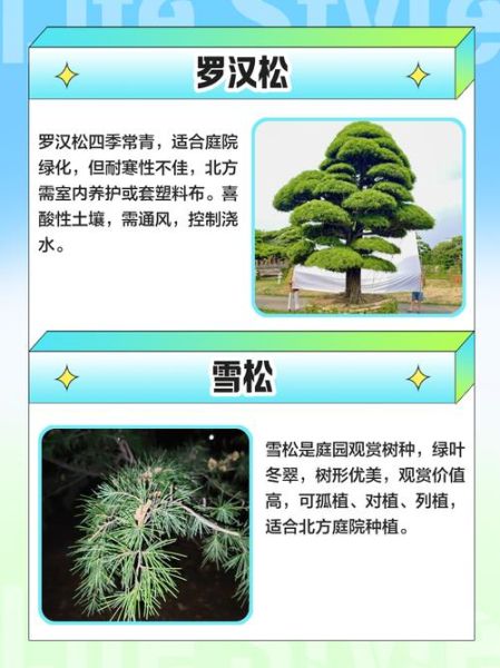 绿化苗木价格走势_适合北方种植的树种有哪些