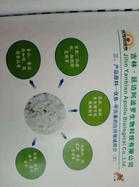 甲壳素前景怎么样_甲壳素应用领域有哪些