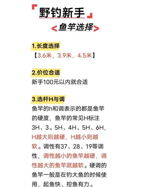 钓具行业前景怎么样_新手如何选钓具