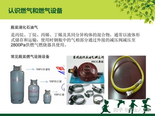 天然气替代品有哪些_天然气会被什么能源取代