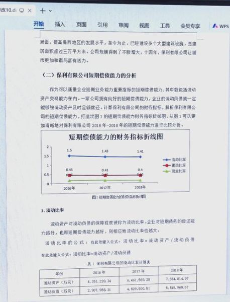 互联网行业偿债能力如何评估_互联网企业偿债指标有哪些