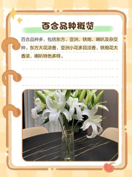 百合种植前景如何_2024年百合行情预测