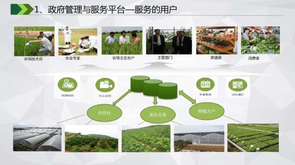 互联网农业怎么做_智慧农业盈利模式