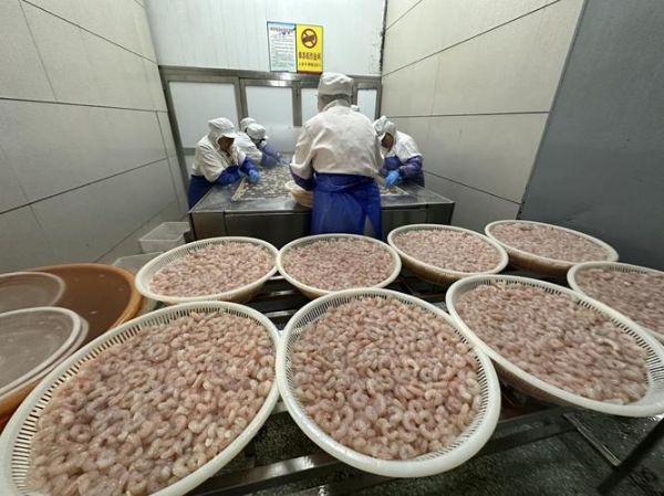 水产品加工行业前景如何_水产加工厂怎么选址