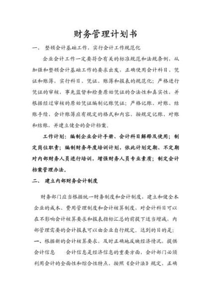 互联网财务管理策划书怎么写_互联网财务策划书模板