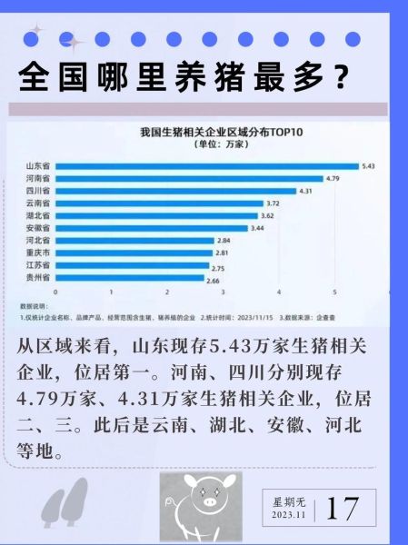 中国养猪行业现状_未来养猪赚钱吗