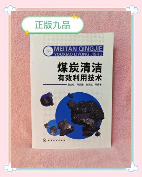 清洁煤技术未来前景如何_清洁煤投资回报率有多高