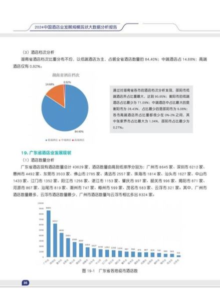 大数据行业分析报告_2024年就业前景如何