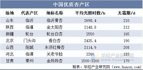 杏仁种植前景如何_杏仁市场未来五年走势