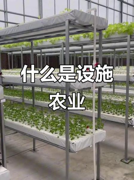 设施农业发展前景如何_未来赚钱吗