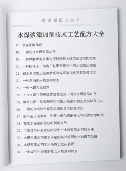 水煤浆前景怎么样_水煤浆技术成熟吗