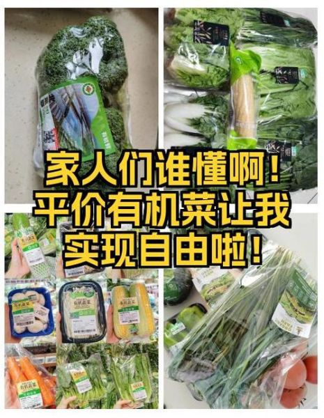有机蔬菜哪里买_有机蔬菜真的健康吗