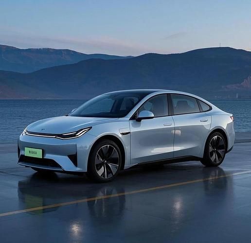 2024年买车怎么选_新能源汽车值得买吗