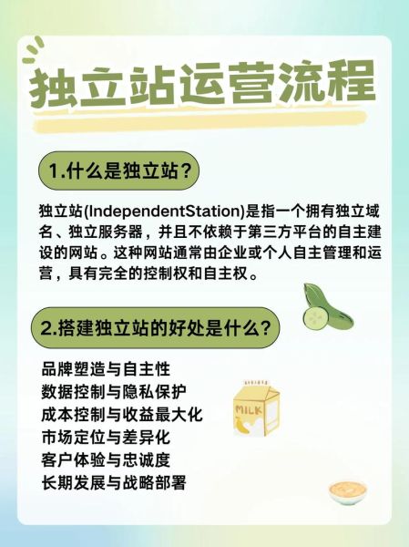 跨境电商怎么做_独立站SEO优化技巧