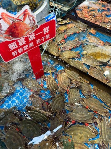 海鲜行业前景怎么样_2024年还能赚钱吗