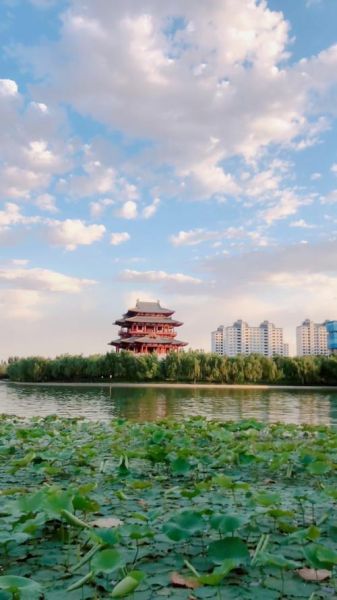 移动互联网有凤凰台吗_凤凰台手机端怎么观看