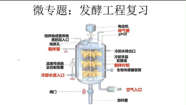 发酵行业前景怎么样_发酵工艺有哪些创新