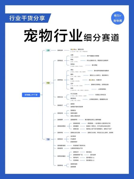 宠物行业未来趋势_新手如何入局宠物赛道