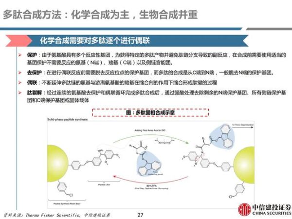 多肽合成前景怎么样_多肽合成行业未来五年发展趋势