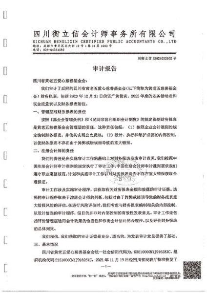 审计行业分析报告_2024年审计行业前景如何